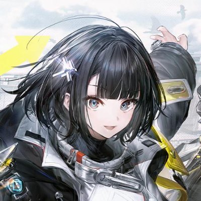 endfieldfess's profile picture