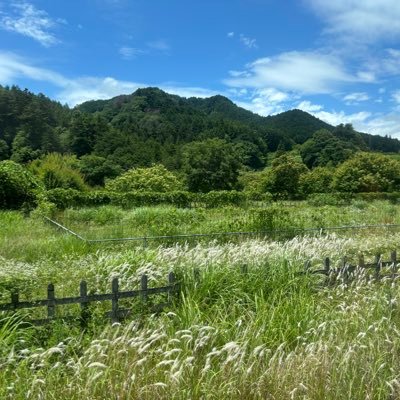 bunnive_24's profile picture
