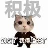 爱喝冷萃的博士C's profile picture