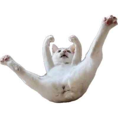 tnh2kk's profile picture
