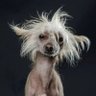 Profilbild von Sammie