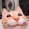 dekat1488's profile picture