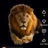 Lekefortal's profile picture