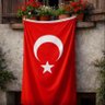 Ayşe's profile picture