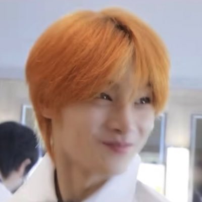 양른 아카이브's profile picture