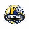 KadıköyAklı 的头像