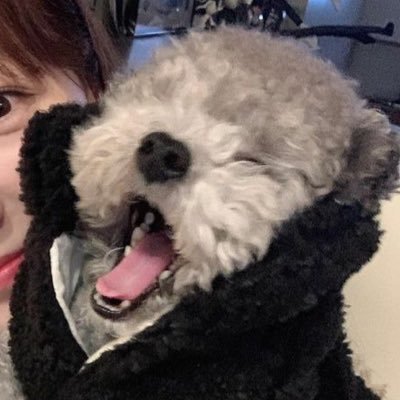 อาจุมม่าชิแด's profile picture