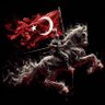 Profilbild von Melikşah ☆∴。・゚★。