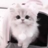 みちゃ😈🔥 的头像