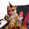 mugen215's profile picture
