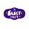 TheElectHub's profile picture