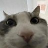 Profilbild von john pronoun