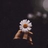 _buse 🇹🇷 ✨ profil fotoğrafı