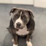 Bellasdaddy's profile picture