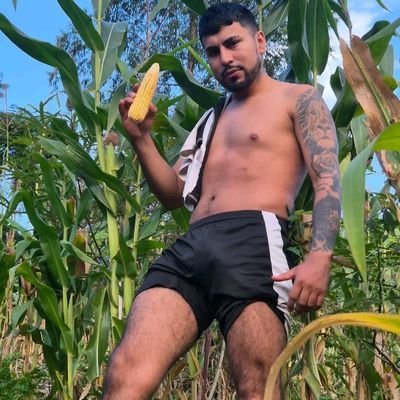 misterdelcampo's profile picture