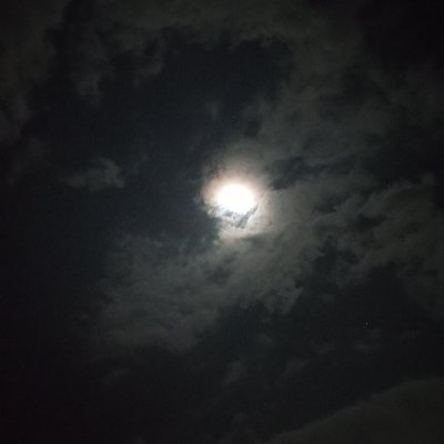 Coste's profile picture