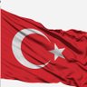 Kudüs Süryya's profile picture