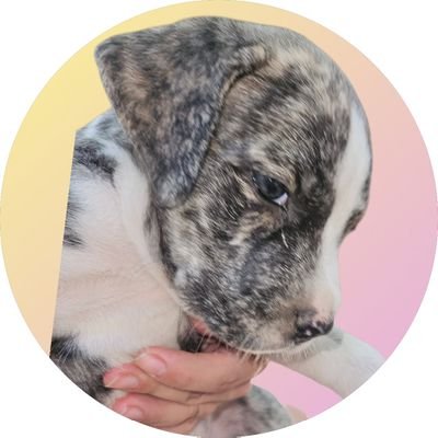 Ju's profile picture