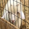 MeL_oS profil fotoğrafı