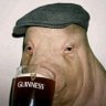 thecelticguy's profile picture