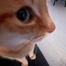 Migueñau's profile picture