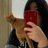 Nn profil fotoğrafı