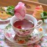 روشا 🌞♎ profil fotoğrafı