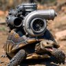 Фото профиля turt
