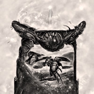 Abel's profile picture