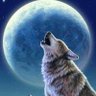 💙Bernd der Seewolf💙🇩🇪❤️ profil fotoğrafı