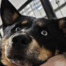 Tseiryu's profile picture