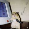 PAWSITIVE's profile picture