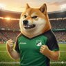 Cheems nojao 的头像
