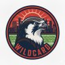 Фото профиля Wildcard Falcons