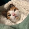 appycot jam's profile picture