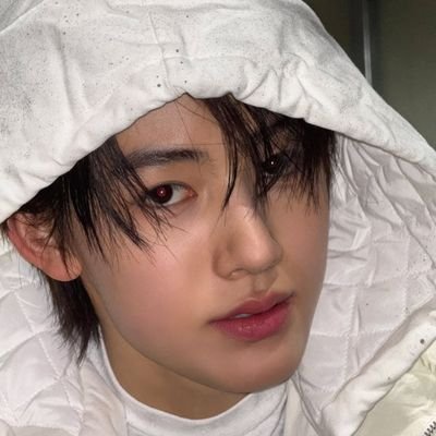 lulu 🦋's profile picture