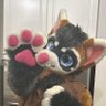 Xander Gear-Paw 的头像