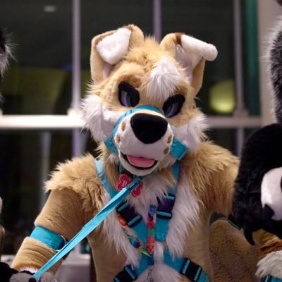 RuffedUpReef's profile picture
