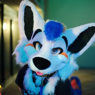 Finn's profile picture
