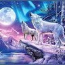 Фото профиля Wildwolflover21