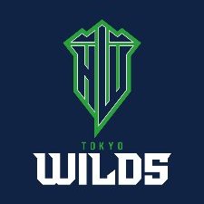 TOKYO_WILDS's profile picture