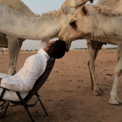 cMuteiri's profile picture