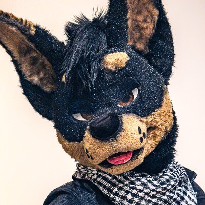 Vin D's profile picture
