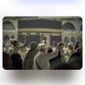 عثمان profil fotoğrafı