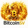 SATOSHI VISION profil fotoğrafı