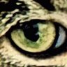 Profilbild von MMB