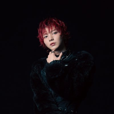ryusei_ohl's profile picture