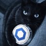 そらねこ's profile picture