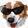 Muttley profil fotoğrafı
