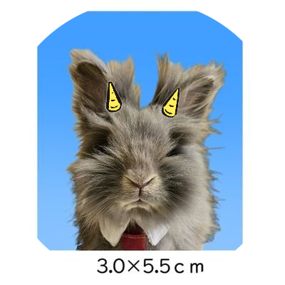 tamagotoore's profile picture